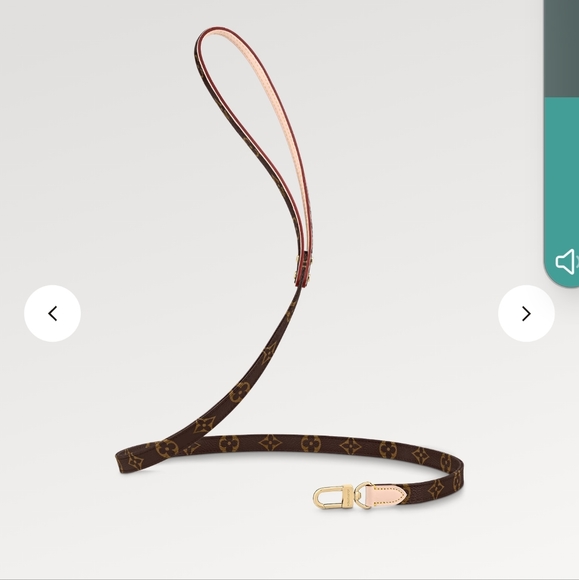 Louis Vuitton MM Monogram Dog Leash and Collar - Picture 15 of 16